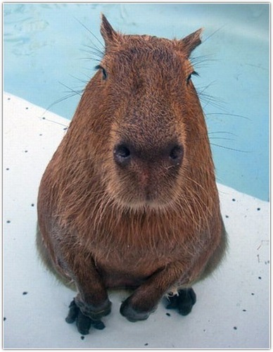 publicpost_'s profile picture. 