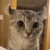 Nobzly (@nobzly) Twitter profile photo Nobzly (@nobzly) Twitter profile photo