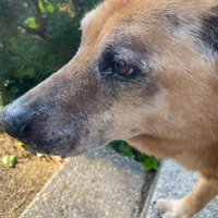 Chris (@chris52165344) 's Twitter Profile
