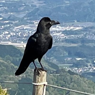 Yottaさんのプロフィール画像