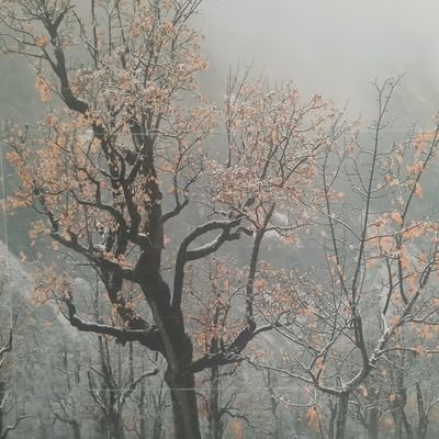 Spchoutri1's profile picture. painting and designing