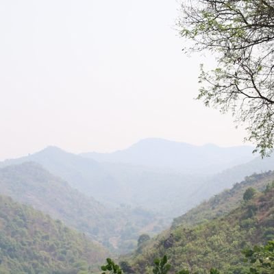 Uday8686264828's profile picture. 