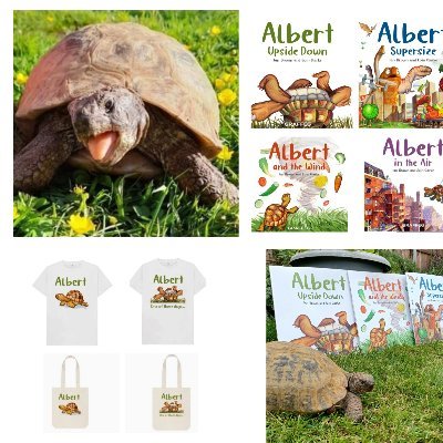 ALBERT the tortoise®