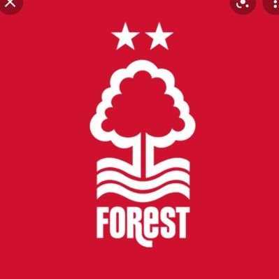 cyprusred73's profile picture. Only here for the forest