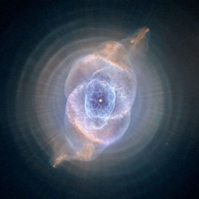 CODEFREAK29's profile picture. 
