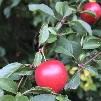 DerMichelbacher's profile picture. hier wird nichts passieren