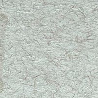 MataSomuei's profile picture. 