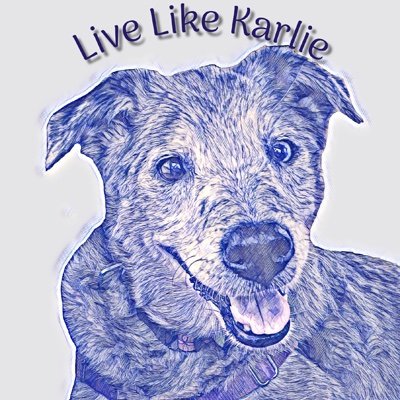 The adventures of Karlie & Sunny, Aussie/Catahoula mixes. Website has info on dog mobility, GOLPP, hiking in CA & IN. Read our book - Adventures with Karlie.