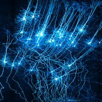Younes Valibeigi (@neuronhunter) 's Twitter Profile