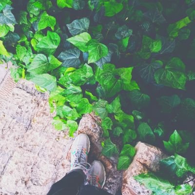 fatemeh20020's profile picture. 