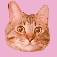 ヨーコたん🐈⬛🩷🐢 (@yokommts) 's Twitter Profile