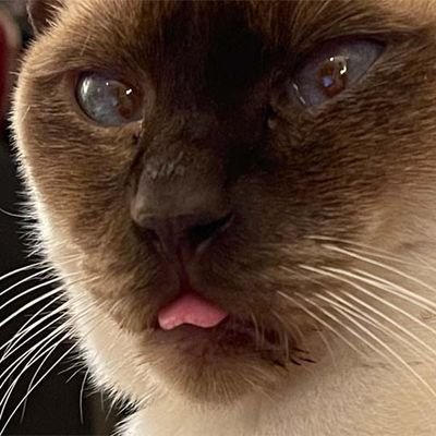 PaperHearts425's profile picture. bleh