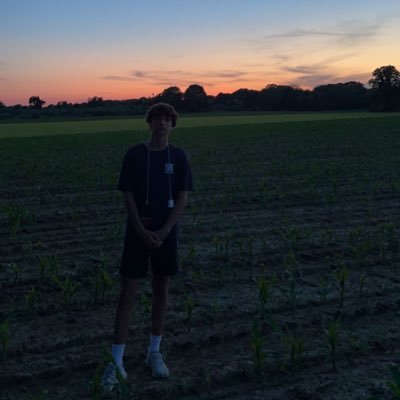 wlrsnblm's profile picture. 