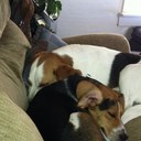 Gina McLeod - @Gina_McLeod - Twitter