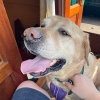 C Cav (@cavenderclaire) 's Twitter Profile