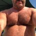 chimusclbear (@chimusclbear) Twitter profile photo chimusclbear (@chimusclbear) Twitter profile photo