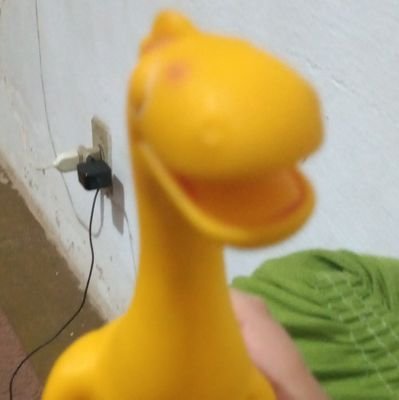 roblo99272281's profile picture. 