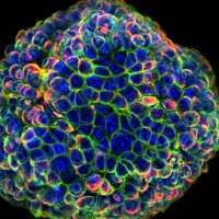 Dusty Flanagan (@flanagan_lab) 's Twitter Profile