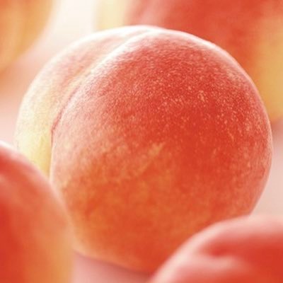 sato8811's profile picture. 星ニナ大好き　元ponkotuです。 なぜかアカウントがバンされました💦