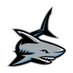 SCHS Cross Country (@schsrunsxc) Twitter profile photo SCHS Cross Country (@schsrunsxc) Twitter profile photo