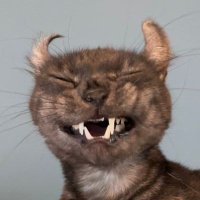 โฟ๏ธ ๐ข๐๐พ๐น๐ถ (@mahatmagnida) 's Twitter Profile