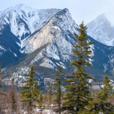 YimJisook's profile picture. 