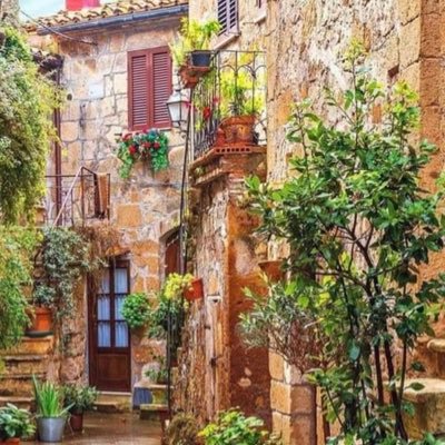 NaserSulaibi's profile picture. 