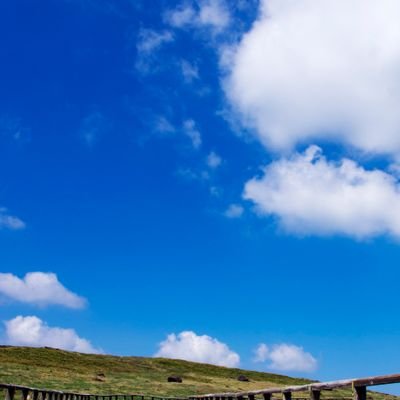 kurobanbanagi's profile picture. 好きな物閲覧  20↑