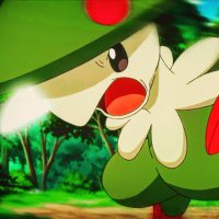 #1 Breloom Enjoyer (@machpunchvgc) 's Twitter Profile