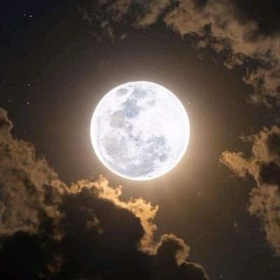 incomprendido y difícil de entender, el mundo apesta a individuos egoístas y destructivos, con ansias del que fin de mundo llegue.