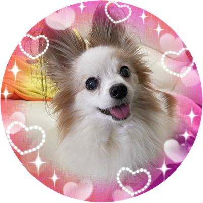 すみ🐕💓さんのプロフィール画像