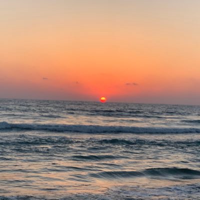 AmosHalfon2's profile picture. 