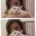 Ellis Chang - @EllisChang20 - Twitter