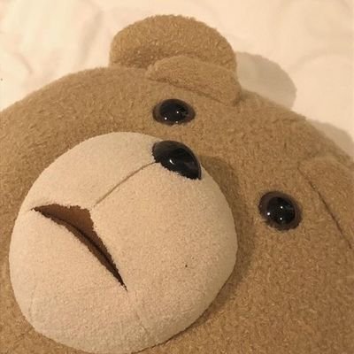 집사さんのプロフィール画像