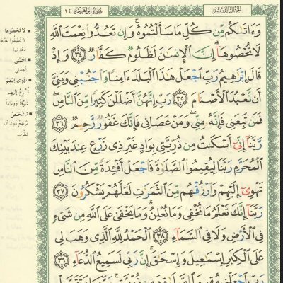 M5K9rQY0JWtsCYa's profile picture. 