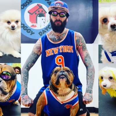 Nothing i want more than a knicks championship! yankees and giants…it’s been long enough also! 🙏🏻🙏🏻🙏🏻 Give my life to helping dogs, 10 rescues!