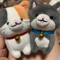 ヤヨキヨ3/2 (@muchan_yayokiyo) Twitter profile photo