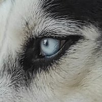 Maikonico (@mikol_21) 's Twitter Profile