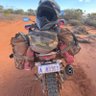 Doctor_650's profile picture. Farmer, thinker, bike nut, love growing stuff, including @Butterfieldbeef 🥩 The colour is 💚, the letter is Y. Inspired by my team.
