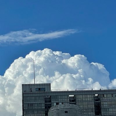 crob_zero's profile picture. from China,A simple runner.