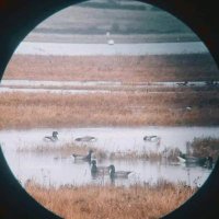 0x7f253aa720d0 (@0x7f253aa720d0) 's Twitter Profile