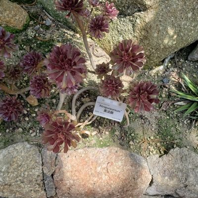 TNSllohy1Ki4Q8g's profile picture. うまむすめまとめのブログ