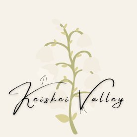 https://t.co/JMyofjqEjQ
keiskeivalley@gmail.com