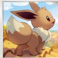 イブ@ブイズ好き (@eevee_pokeka) 's Twitter Profile