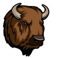 Bison Party of Saskatchewan 🇨🇦(@BisonPartySK) 's Twitter Profile Photo