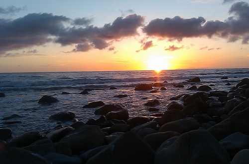 cubkicker's profile picture. 