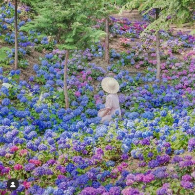 qbert1234's profile picture. 과