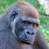 Blended_charcool (@winfreddockery) 's Twitter Profile