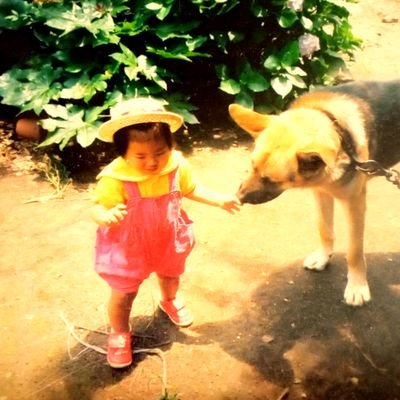 aomi2471's profile picture. ガヤ民わいわいだい朱鬼
行け夢みる夢なし女