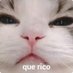 kerplo (@kerplo1) Twitter profile photo kerplo (@kerplo1) Twitter profile photo